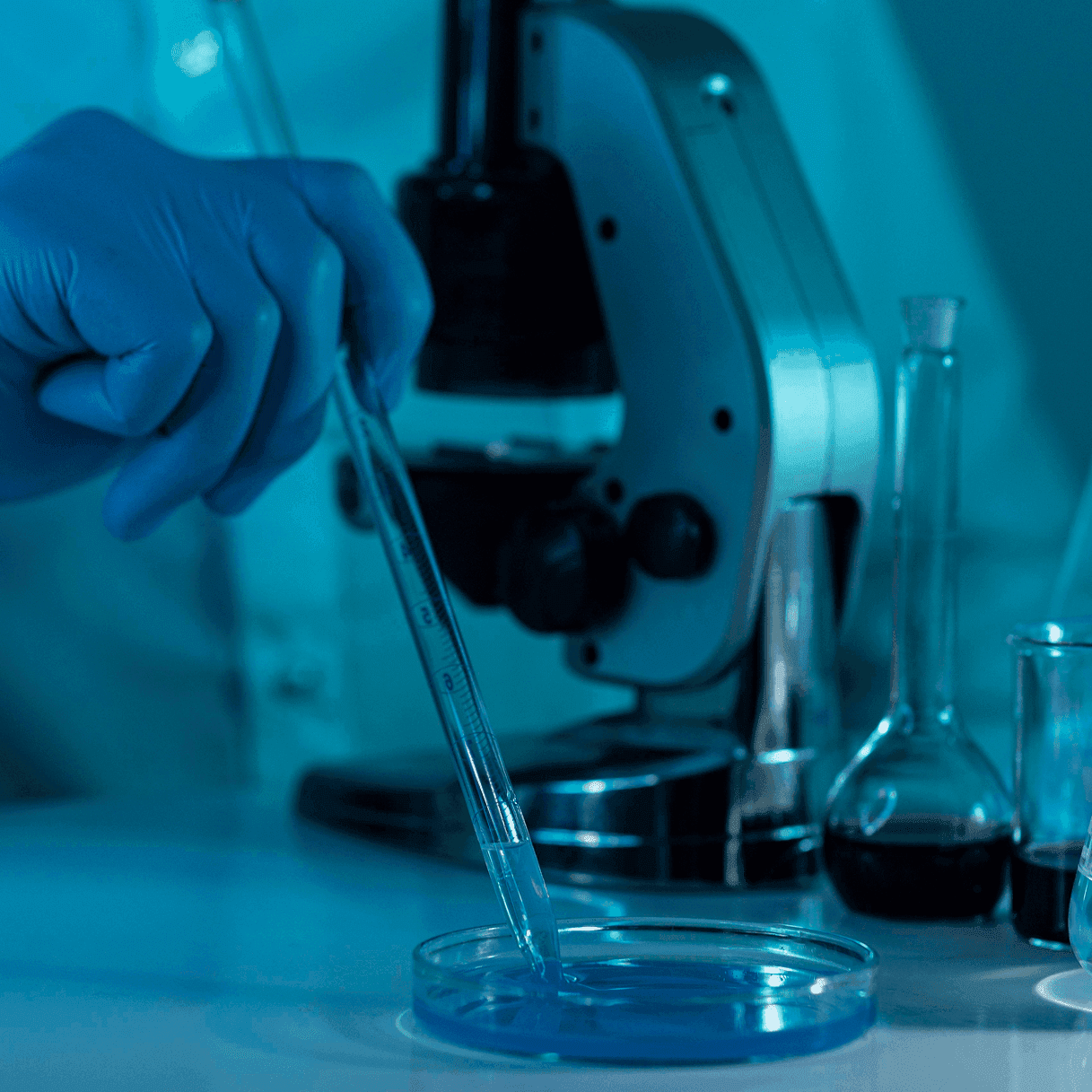 Serviços precisos e eficazes